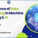 Importance of Data Processing in Machine Learning & AI