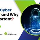 What is Cyber security and Why is it Important?